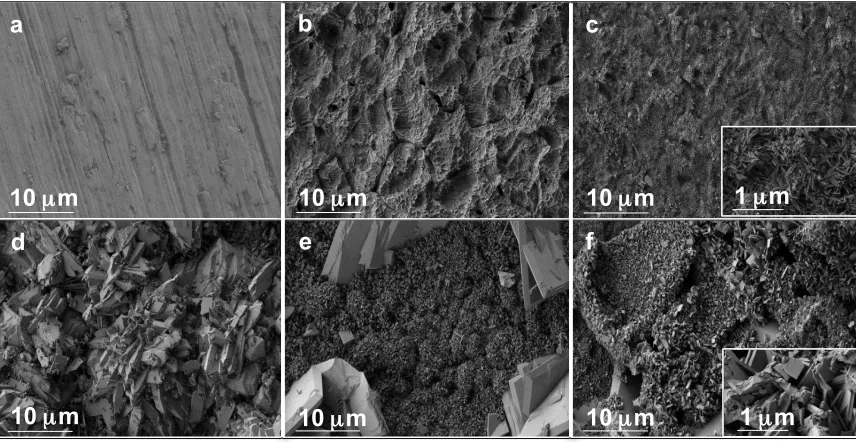 Figure 3-1  a) Polished Ti surface as control. b) Sand-blasted and acid-etched Ti surface