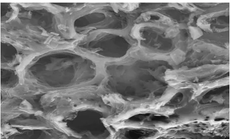 Figure 1 SEM of Synthetic Activated Carbon from UTLR (ACUTLR) 