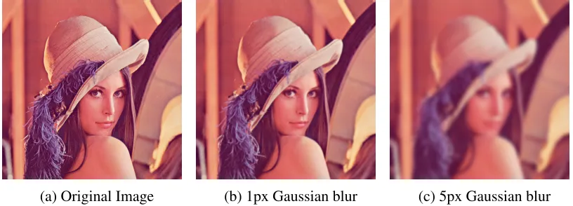 Figure 6.2: 512x512px “Lena”(a) with a 1px (b) and 5px (c) Gaussian blur applied. Gaussianblurring is accomplished by convolving an image with a Gaussian kernel and is commonlyused in image processing to reduce noise prior to edge detection.