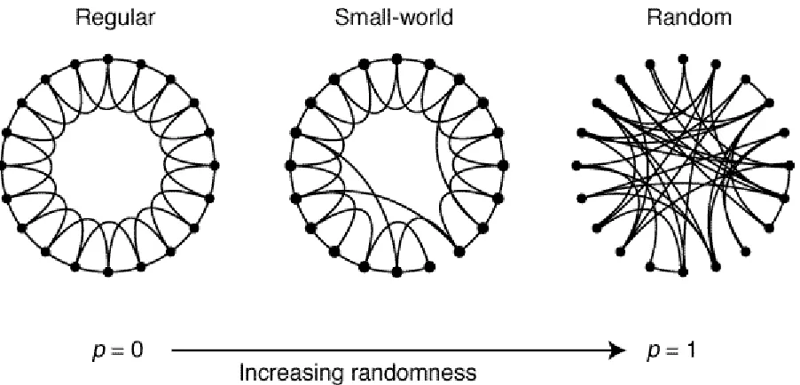 Figure 1.6: Random rewiring in network configurations A random rewiring procedure is dependent on the vari-able p, the probability of rewiring (0 < p < 1)