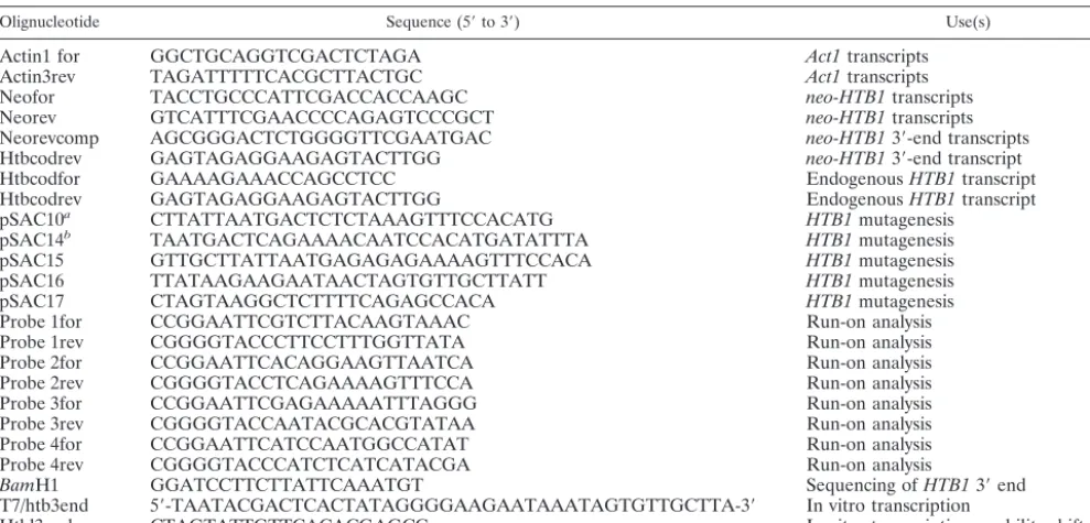 TABLE 1. Olignucleotides used in this study
