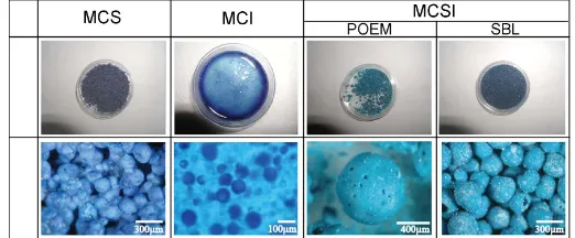 Figure 4. Optical microscopic photographss of microcapsules. 