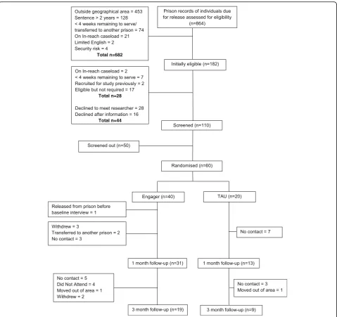Fig. 1 Consort of participant flow