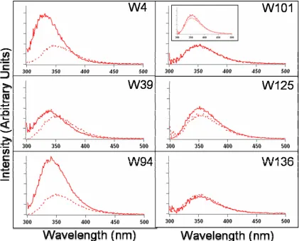Figure 2.1.  Steady-state fluorescence spectra of NATA (inset), W4 (top-left panel), 