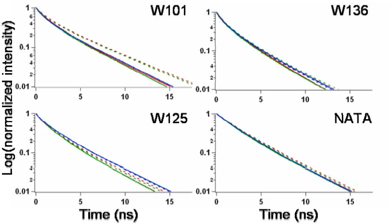 Figure 4.2.  Time-resolved fluorescent decay of α-syn mutants W101 (top-left panel), 