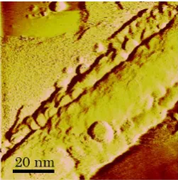 Figure S1. STM image of 50 nm × 50 nm square Au substrate (maximum roughness was less than 1 nm)