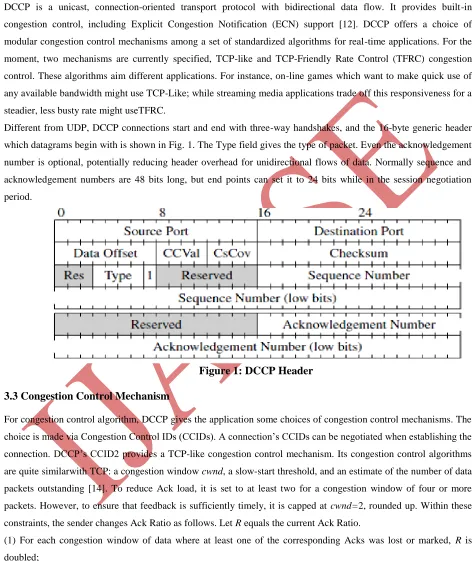 Figure 1: DCCP Header 