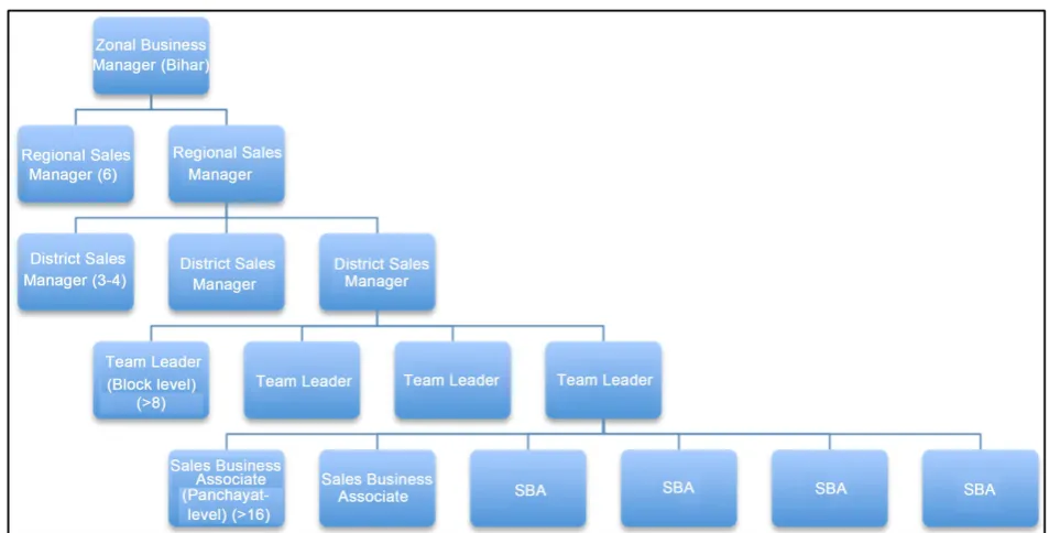 Figure 4. Direct marketing organizational chart (example from Bihar). 