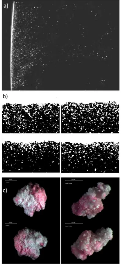 Fig. 1. Visualization of the wall dynamics: (a) and (b) show the near wall region andmulti-layered deposits observed under Particle Image Velocimetry, PIV, reproducedfrom Hassall (2011)