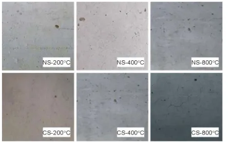 Figure 9. Surface color variations after exposal to high-tem- peratures. 