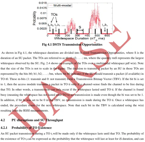Fig 4.1 DSTS Transmission Opportunities 