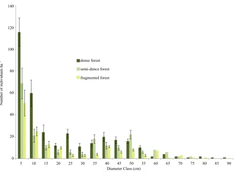 Figure 6. Horizontal structure of Pinus hartwegii forest in the NTNP. 