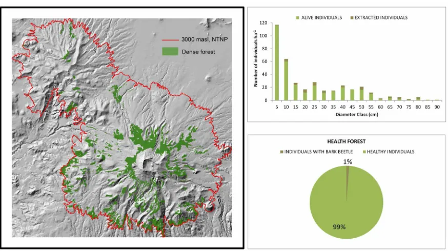 Figure 7. Height-diameter relation between dense, semi-dense and fragmented forest. 