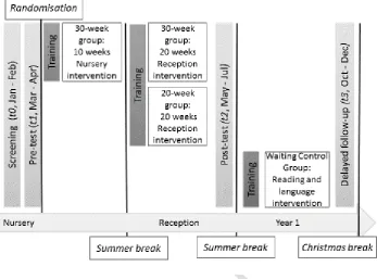 Figure 1: Timeline of project showing assessment, training and intervention phases 