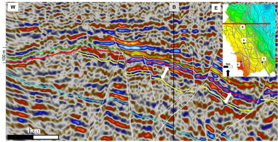 Fig. 3. Depth seismic section across the field, highlighting the structural complexity at reservoir 