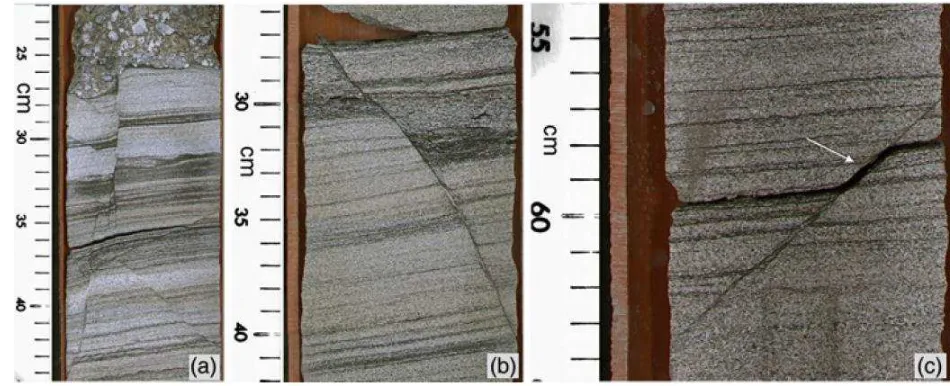 Fig. 7. Cored small scale faults (a) Multiple normal faults. (b) Single normal fault with cm-offset 
