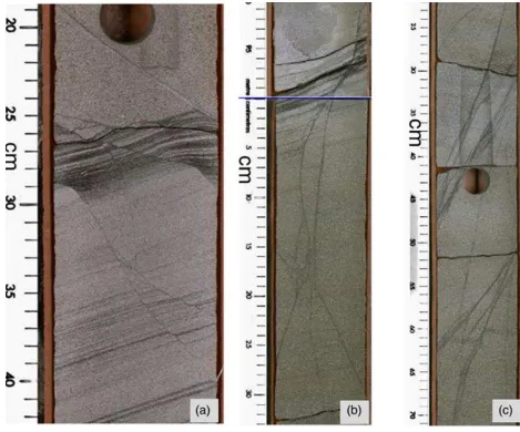 Fig. 8. Cored small scale faults and deformation bands (a) Small scale normal faults with cm-