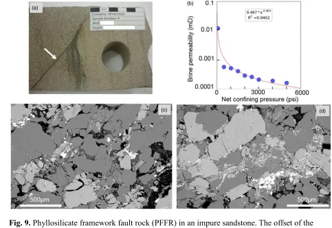 Fig. 9. Phyllosilicate framework fault rock (PFFR) in an impure sandstone. The offset of the 