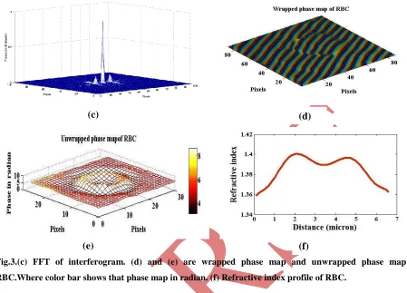 Fig.3.(c) FFT of interferogram. (d) and (e) are wrapped phase map and unwrapped phase map of 