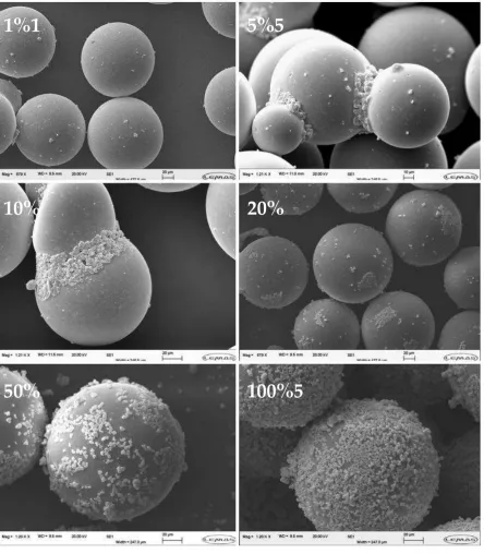 Figure 9. SEM micrographs of particles coated with ZA-Ae, from top left to bottom right: 1, 5, 10, 20, 50, 100% of SAC 