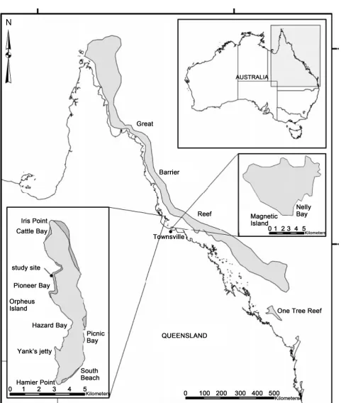 Figure 2. Map of the study area showing locations of Nelly Bay fringing reef on the NE coast of Magnetic Island and the Pioneer Bay reef site at Orpheus Island north of Townsville