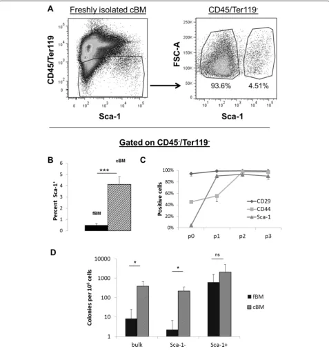 Fig. 2 Effect of isolation method on surface marker expression and clonogenicity. a Cytograms displaying Sca-1 versus CD45−/Ter119− expressionin freshly isolated cBM preparations (left) and FSC versus Sca-1 of cBM CD45−/Ter119− (right)