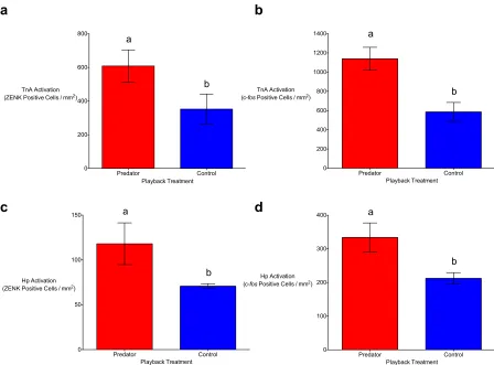 Figure 2.1. Auditory predator playbacks result in significantly higher numbers of ZENK (a) and c-fos (b) positive cells in the nucleus taeniae of the amygdala (TnA) in the brains of black-capped chickadees in comparison to non-predator (control) playbacks