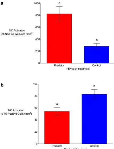 Figure 2.2. The caudal nidopallium (NC) of black-capped chickadees is differentially active in response to auditory predator and non-predator (control) playbacks depending on the immediate-early gene (IEG) used to measure this activation