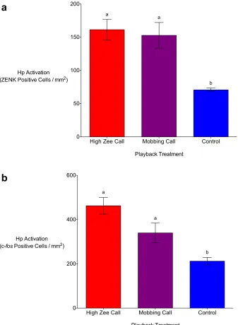Figure 3.2. Auditory playbacks of chickadee high zee and mobbing calls result in significantly higher numbers ZENK (a) and c-fos (b) positive cells in the hippocampus (Hp) in the brains of black-capped chickadees in comparison to non-predator (control) pla