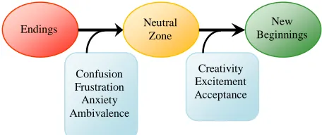 Figure 1. Transition framework-three steps of transition.  