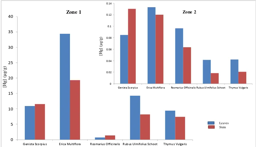 Figure 1.- Comparative of total mercury content in plants in two zones, zone 1 nearly mina Diana and zone 2 in a flood more far of the mining activity