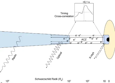 Figure 3: Schematic of the post‐transition accretion and jet geometry of V404 Cygni. The black hole and accretion disc are situated off to the right. X‐rays originate in a compact region within ~5 Comptonisation (either jet or coronal). Optical photons are delayed with respect to X‐rays by ~0.1 s. This ‘optical frequencies. The above time delay limits the extension of the putative acceleration and collimation zone (ACZ), which is likely to be Poynting‐flux dominated. Beyond the optical base, shocks in the longitudinally and laterally base’ lies expanding jet inject energy that power the broadband lower frequency radiation down to the radio. RS of the black hole due to ≲103 RS from the X‐ray core, and should power broadband synchrotron radiation extending to high  