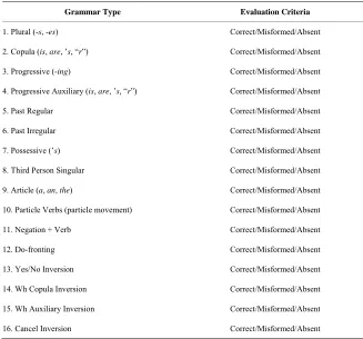 Table B1. Grammar type and evaluation criteria in the instrument.