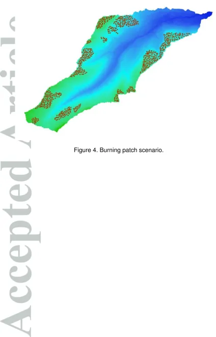 Figure 4. Burning patch scenario. 