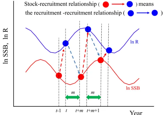 Figure 1. The stock-recruitment relationship in Model 2 and Model 3. The relationship from St+m to Rt+m+1 is replaced by the relationship from Rt to Rt+m+1