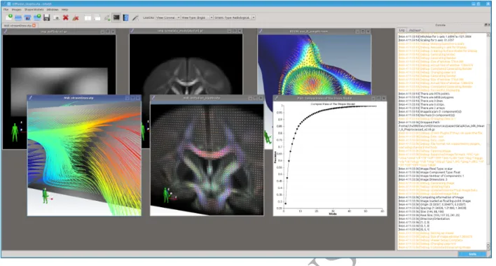 Figure 1: A screenshot of the sMILX GUI application for biomedical image analysis that can display assorted types of data in a variety of different representations, such as n-D images, surfaces/models, fields and 2D/3D plots