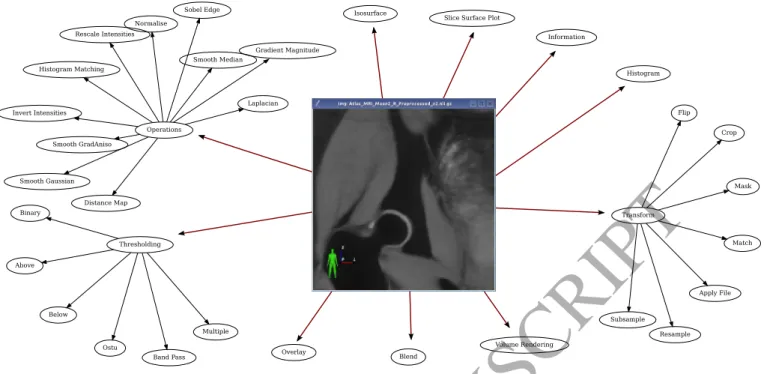 Figure 5: A schematic of the display and processing capabilities of SMILI for n-D images represented as milxQtImage object, which are also available as right click (context menu) options