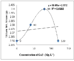 Fig. 18. Regression of tiller straw weight (g) with concentration of A.I.I         