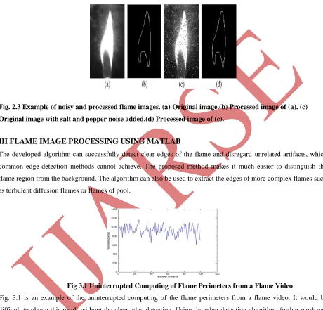 Fig. 2.3 Example of noisy and processed flame images. (a) Original image.(b) Processed image of (a)