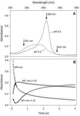 Figure 2.4. (A) Absorption spectra of native hMb at pH 6.5, and of the acid-denatured 