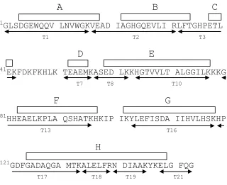 Figure 2.6. Amino acid sequence of horse myoglobin (pdb code 1WLA). -helices are 