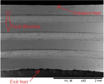 Fig. 11 SEM image showing