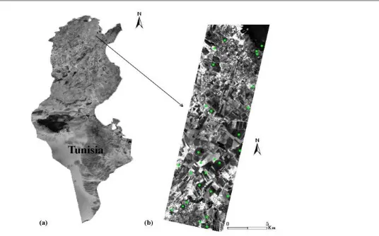 Figure 1. a) Location of the study area in Tunisia, b) the HYPERION image (band B12: 467.52 nm) with locations of the 124 soil samples collected (green points)