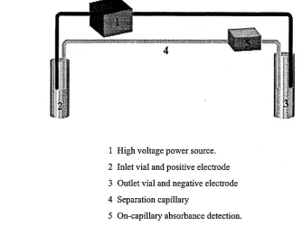 Figure 1.1 Schematic representation of a typical CE instrument.