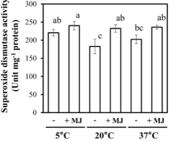 Figure 7. Effects of night temperature and MJ on the activity of SOD in red leaf lettuce leaves