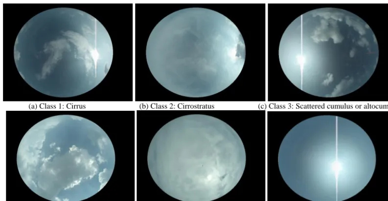 Figure 3. Six different types  