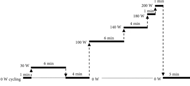 Figure 2. Experimental protocol.