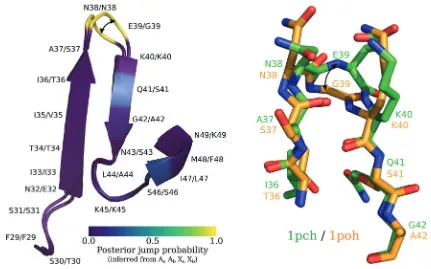 FIG. 10. Depiction of two histidine-containing phosphocarriers, PDB 1pch and 1poh, superimposed