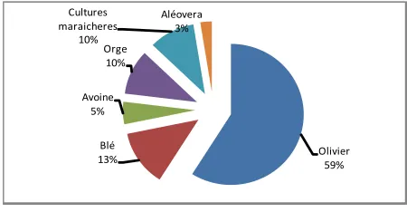 Figure 4. Organic farming percentage in Sousse delegations 