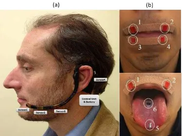 Figure 1. External PMA device. (a) Wearable PMA headset with control unit, battery and 4 tri-axial magnetic sensors